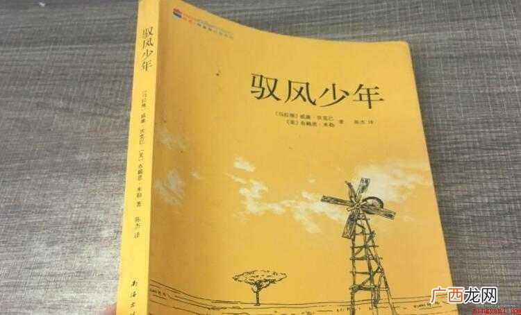 读完《控风少年》后感范文 《驭风少年》读后感怎么写