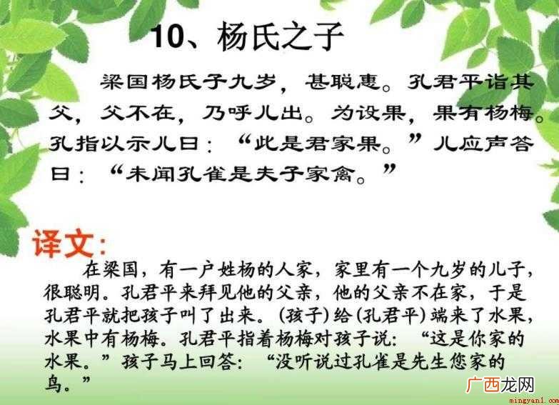 有关《杨氏之子》的是什么意思 《杨氏之子》的意思是什么