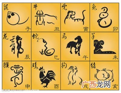 95年属什么的生肖,95几月份开始属猪？