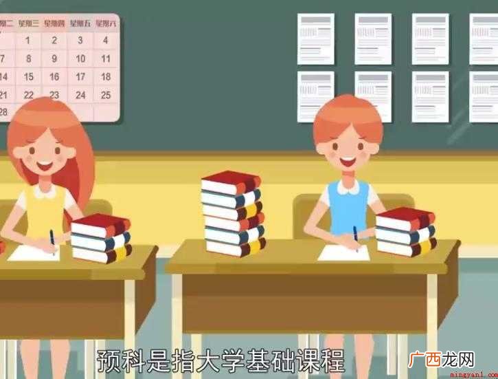 这门预科课程是什么意思? 预科是什么意思