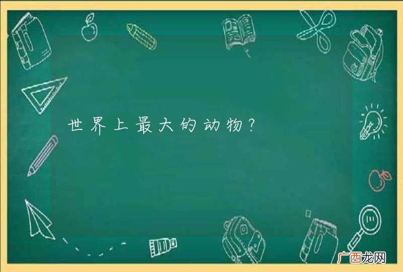 世界上最大的动物?