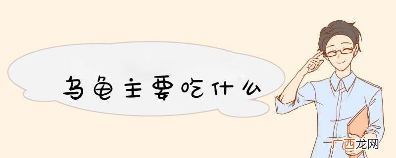 乌龟主要吃什么
