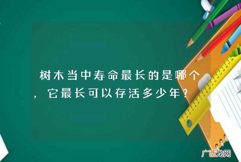 树木当中寿命最长的是哪个，它最长可以存活多少年？