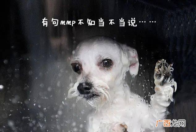 投胎到哪家是谁决定的,天上神仙谁管人的寿命？