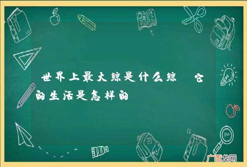 世界上最大鲸是什么鲸？它的生活是怎样的？