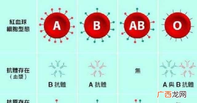 血型分为哪几种,血型是什么意思？