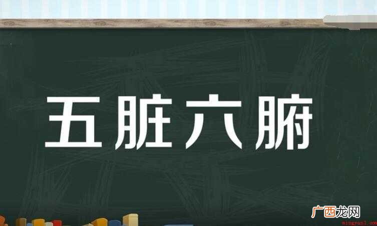 五脏六腑的意思是什么呢? 五脏六腑的意思是什么