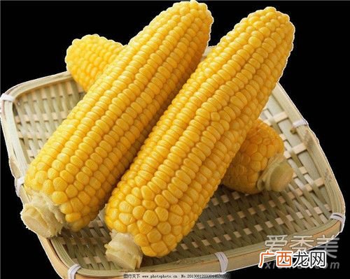 玉米热量高为什么还减肥,吃苞米减肥吗？