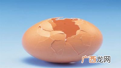 鸡蛋壳属于什么垃圾分类,花朵是什么垃圾？鸡蛋壳什么垃圾？