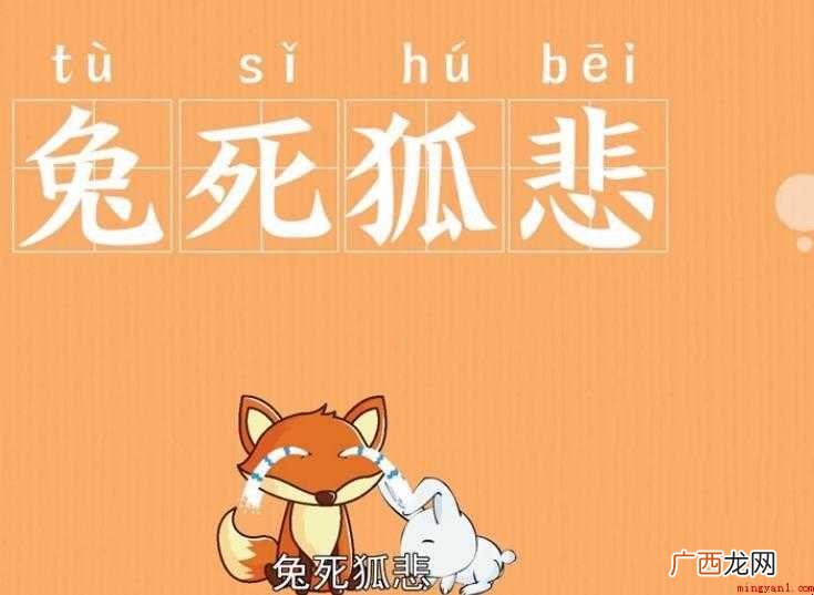 兔死狐悲的故事是什么