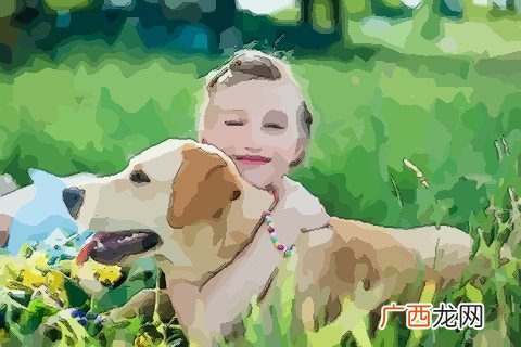 2006年属狗的是什么命,2006 年出生属什么？