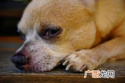 哀嚎是什么意思,衰耗什么意思？