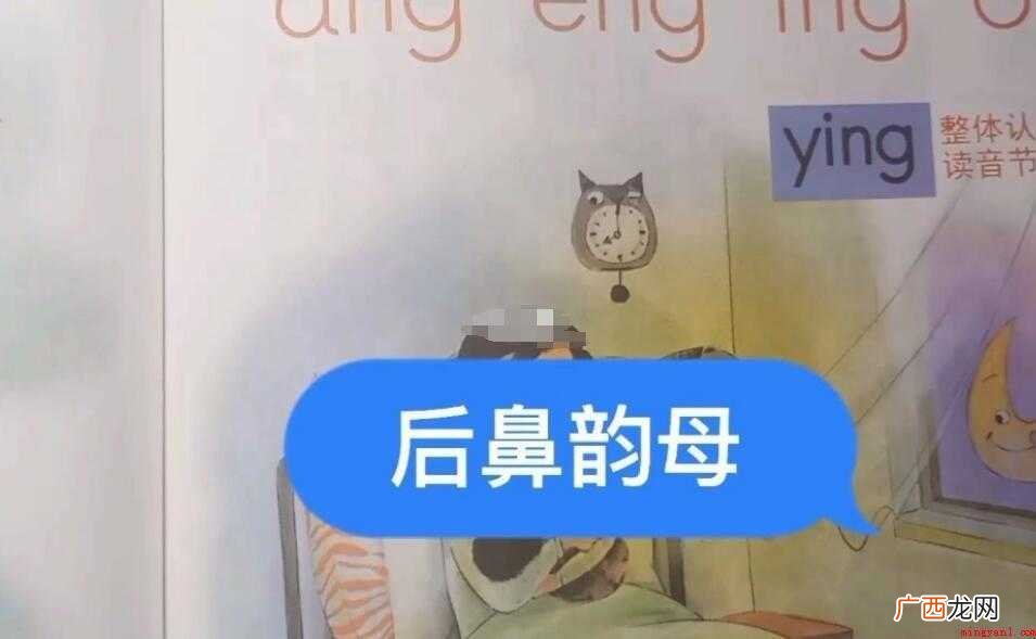 什么叫后鼻韵母 什么是后鼻韵母