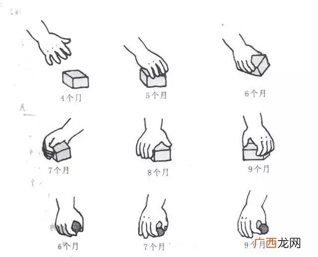 精细动作有哪些,3-4岁精细动作有哪些？