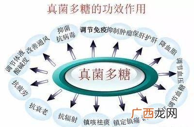 多糖包括哪些,多糖有哪些类型？