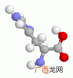 氨基酸是蛋白质吗,胶原蛋白和氨基酸的区别是什么？