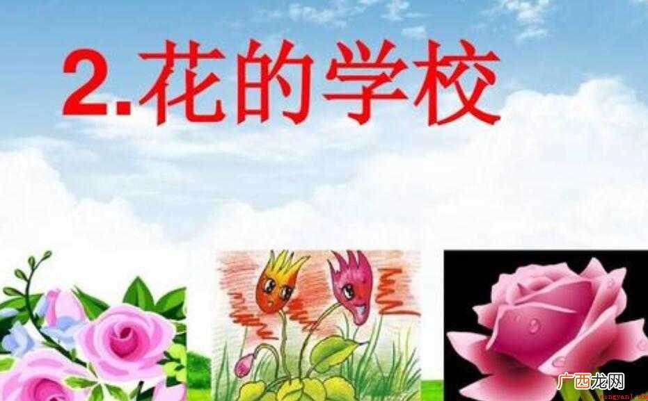 《花的学校》向我们展示了花儿的什么和什么