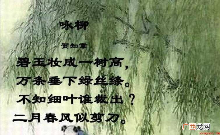 不知道细叶谁裁出下一句话是什么 不知细叶谁裁出下一句是什么