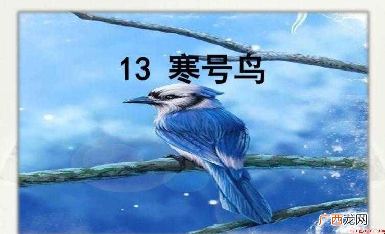 寒号鸟的小故事告诉大家哪些道理 《寒号鸟》的故事告诉我们什么道理