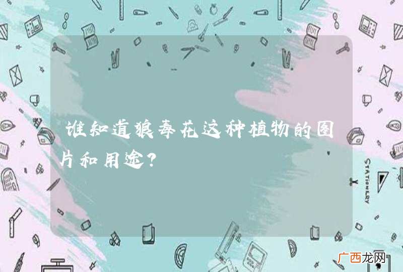 谁知道狼毒花这种植物的图片和用途?