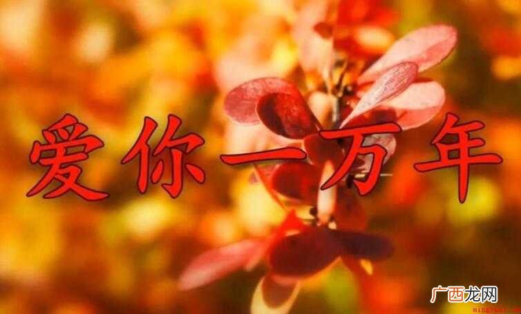 寒风吹起细雨淋漓是什么歌