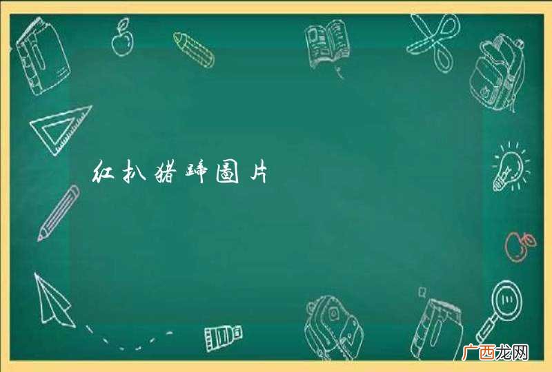 红扒猪蹄图片