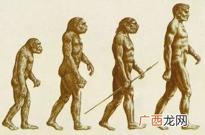 人类的祖先是什么,人类的祖先有哪些？