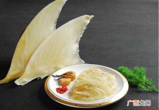 什么是鱼翅?鱼翅是什么? 鱼翅是什么