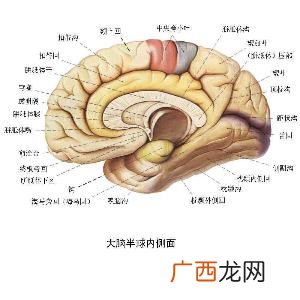 脑部外伤后遗症有哪些,头部摔伤的后遗症？