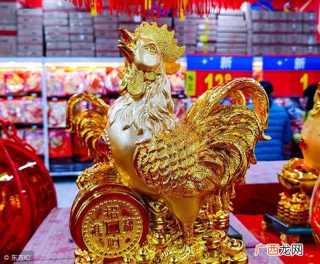 金鸡独立是什么生肖,全鸡独立是指什么生肖？