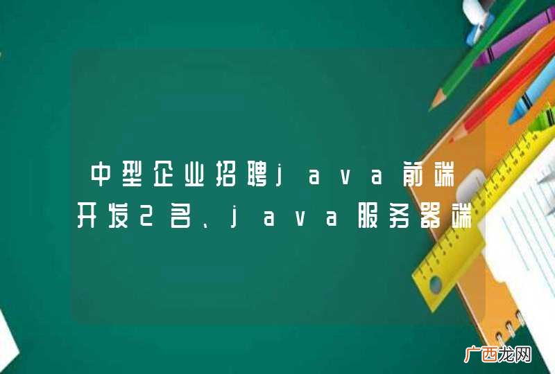 中型企业招聘java前端开发2名、java服务器端开发1名