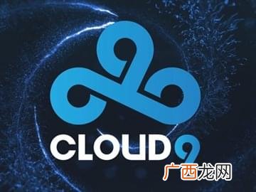 c9是什么意思,C9是什么意思啊?