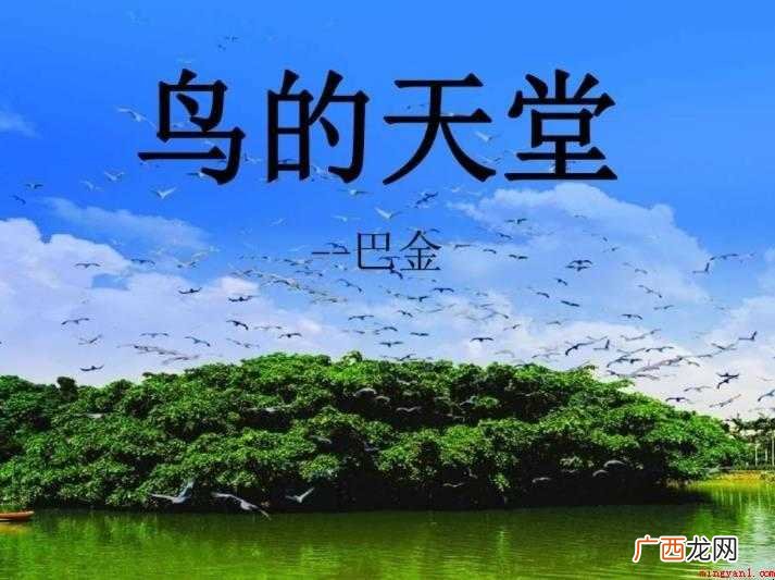 《鸟的天堂》创作背景 《鸟的天堂》创作背景是什么