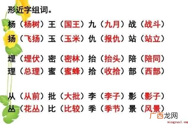 语文课杨字组词有什么? 杨字组词有哪些