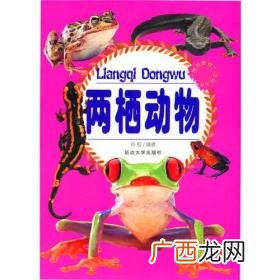 两栖动物怎么读,两栖动物，到底是什么意思？