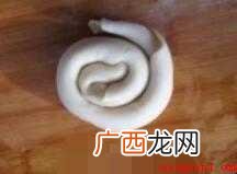 台湾台湾手抓饼怎么做? 台湾手抓饼怎么做