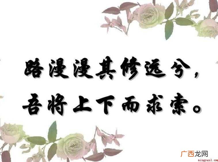 路漫漫其修远兮吾将上下而求索的意思是什么