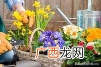 草寇是什么意思,草园可以组词吗？