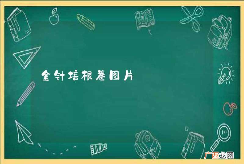 金针培根卷图片