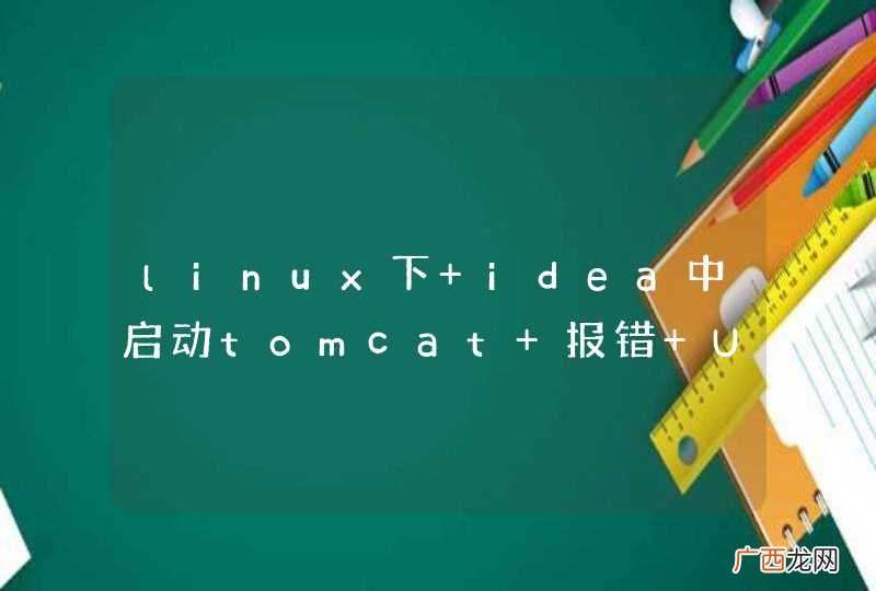 linux下 idea中启动tomcat 报错 Unable to ping server at localhost:1099 是神马原因