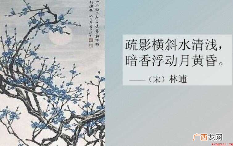 疏影横斜水清浅下一句话 疏影横斜水清浅下一句是什么