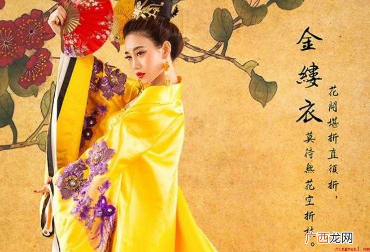 《金缕衣》表述了哪些感情 《金缕衣》表达了什么情感