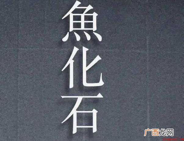 鱼化石的创作背景是什么? 《鱼化石》创作背景是什么