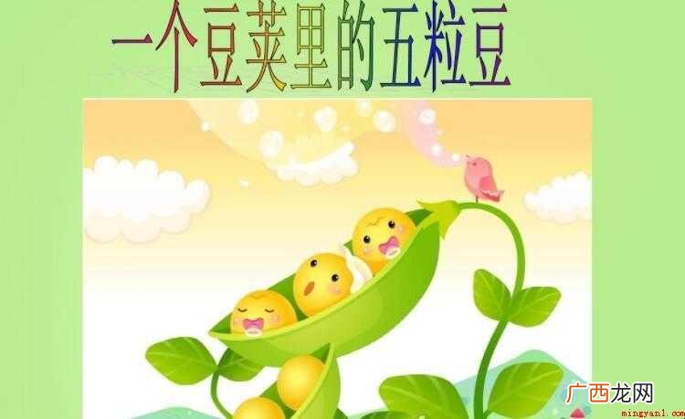 《一个豆荚里的五粒豆》读后感范文 《一个豆荚里的五粒豆》读后感怎么写