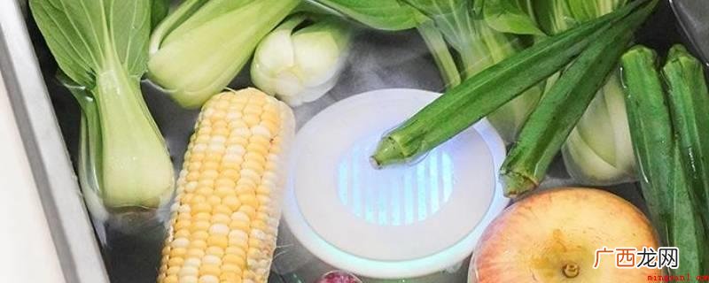 刷碗的情况下放的那一个仪器设备叫果蔬净化机 洗菜的时候放的那个仪器叫做什么