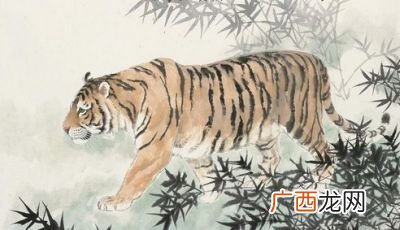 98年是什么命,98年出生到2021年几岁？