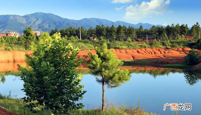 梦见被水冲走预示着什么