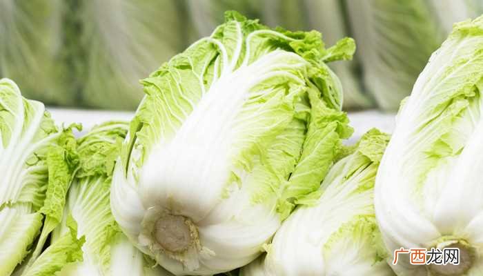 梦见买大白菜是什么意思