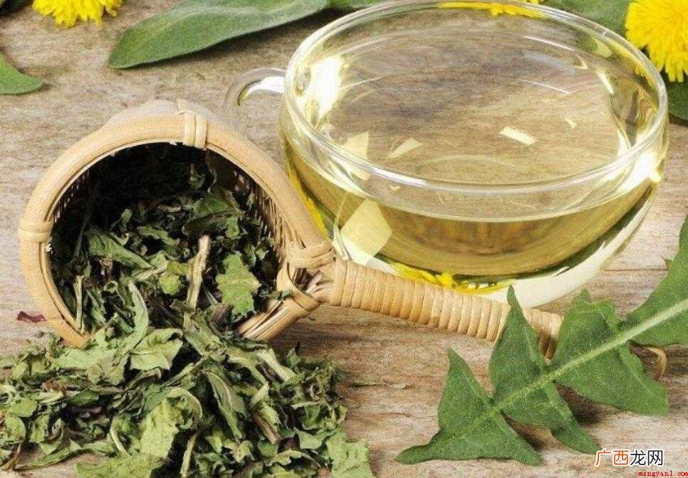 蒲公英茶属于绿茶吗?让我们看看 蒲公英茶是属于绿茶吗