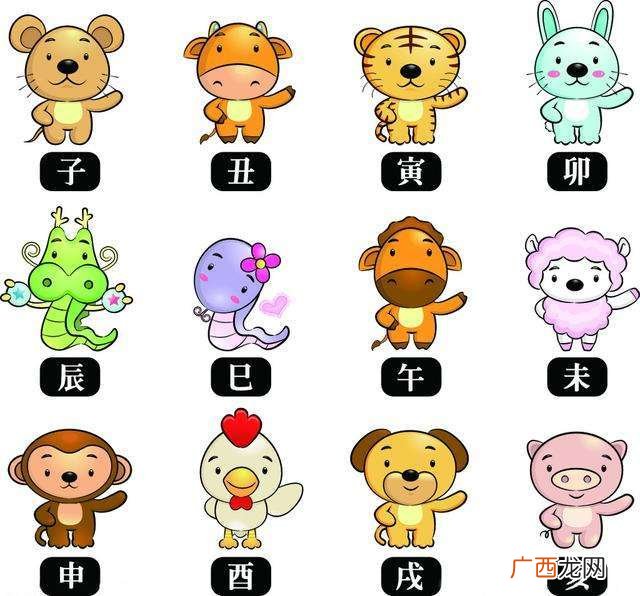 十二生肖怎么排名,十二生肖排行榜大全？
